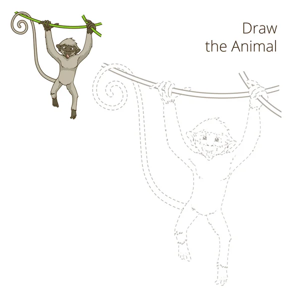 動物の猿の教育ゲーム ベクトルを描画します。 — ストックベクタ