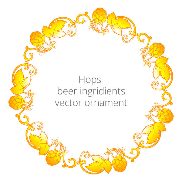 Hops ornament vector illustration