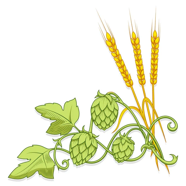 Hopfen Ornament Vektor Illustration — Stockvektor