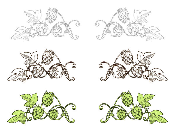 Hops ornament vector illustration