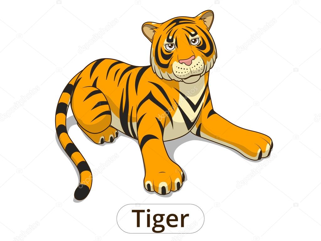 Tiger cartoon vector illustration