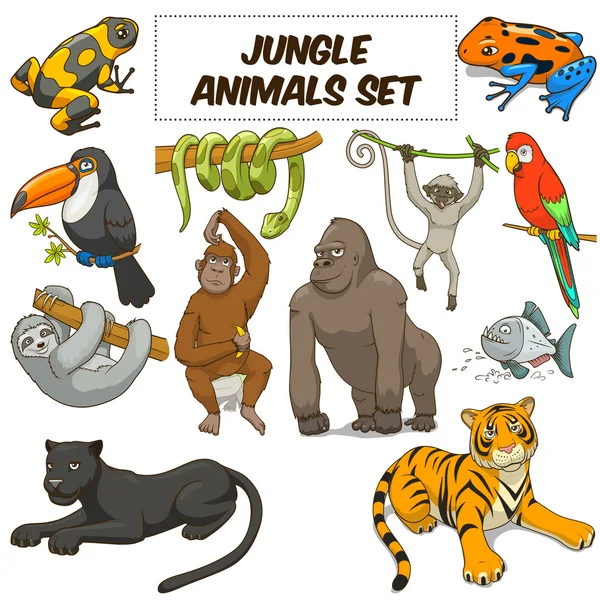 Cartoon jungle dieren instellen vector — Stockvector