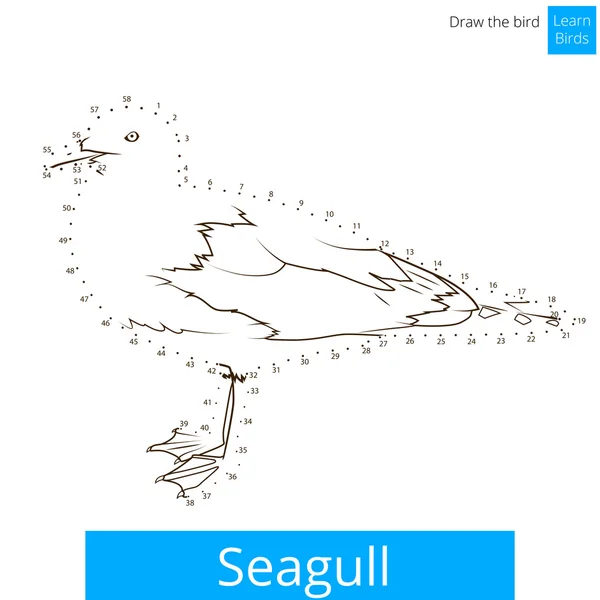 Seagull fågeln lär dig att rita vektor — Stock vektor