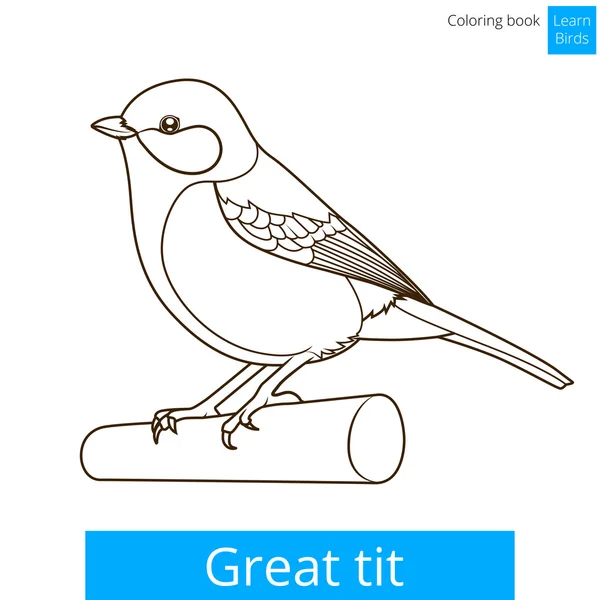 Great tit learn birds coloring book vector — Stock Vector