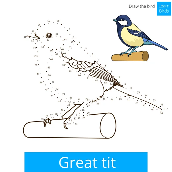 Great tit bird learn to draw vector — Διανυσματικό Αρχείο