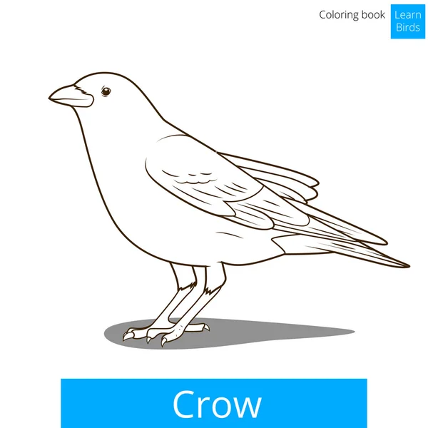 Cuervo aprender aves para colorear libro vector — Vector de stock