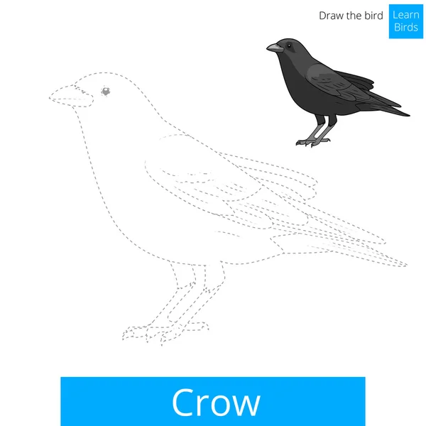 Crow vogel leren tekenen van vector — Stockvector