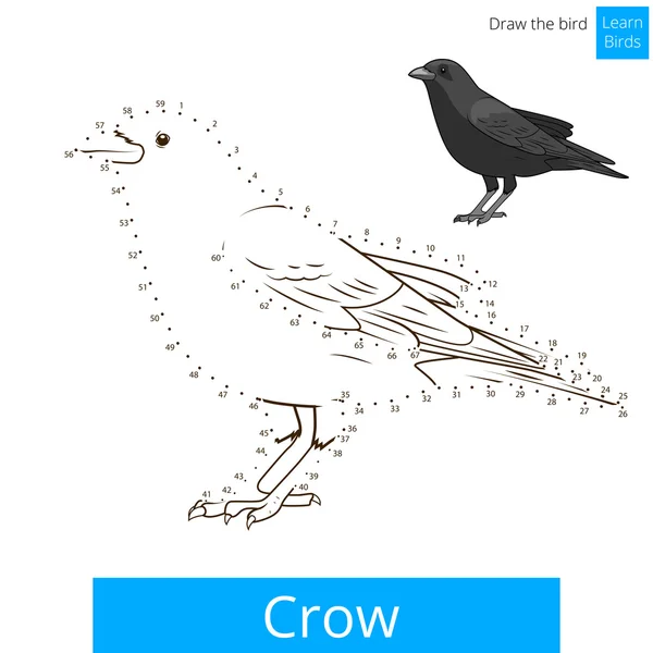 Cuervo pájaro aprender a dibujar vector — Vector de stock