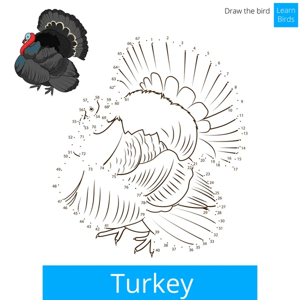 Turchia uccello imparare a disegnare vettore — Vettoriale Stock