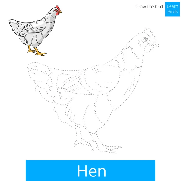 Pássaro galinha aprender a desenhar vetor — Vetor de Stock
