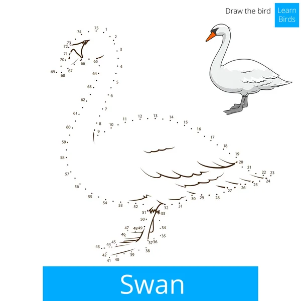 Oiseau cygne apprendre à dessiner le vecteur — Image vectorielle