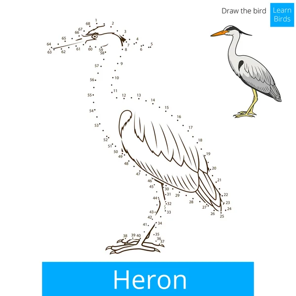 Heron oiseau apprendre à dessiner le vecteur — Image vectorielle