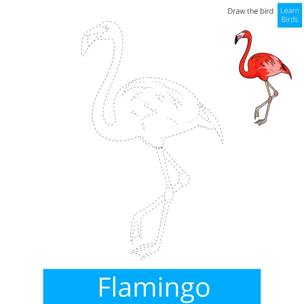 Фламінго птах навчитися малювати вектор — стоковий вектор