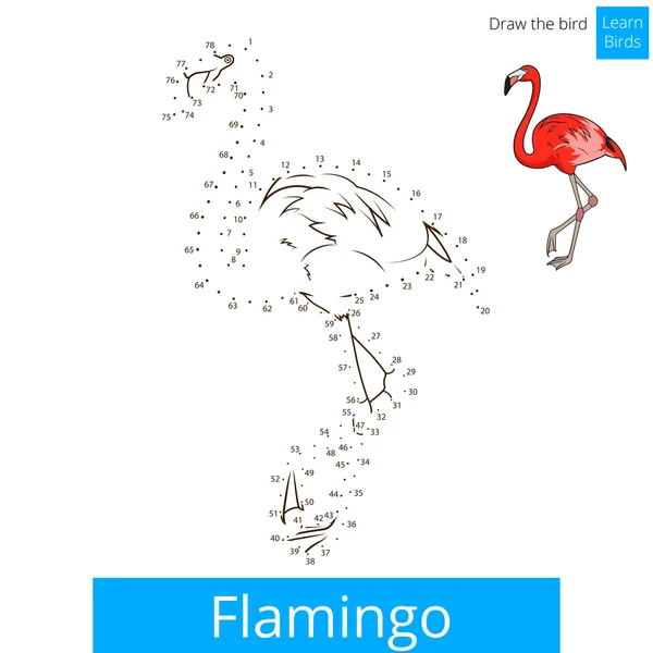 Flamingo pássaro aprender a desenhar vetor — Vetor de Stock