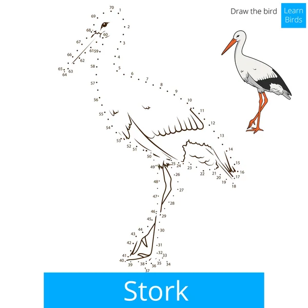 Stork bird learn to draw vector — Stock Vector
