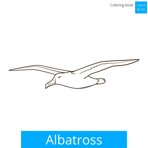 Albatros aprender aves para colorear libro vector — Archivo Imágenes Vectoriales