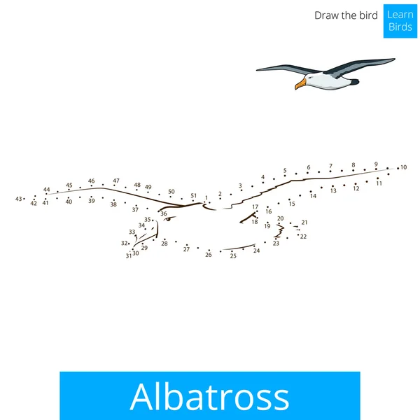 Albatros aprender aves para colorear libro vector — Vector de stock