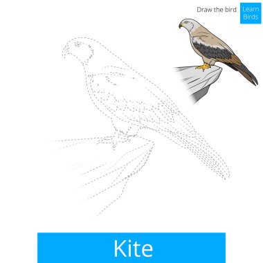 Uçurtma kuş kuşlar kitap vektör boyama öğrenin