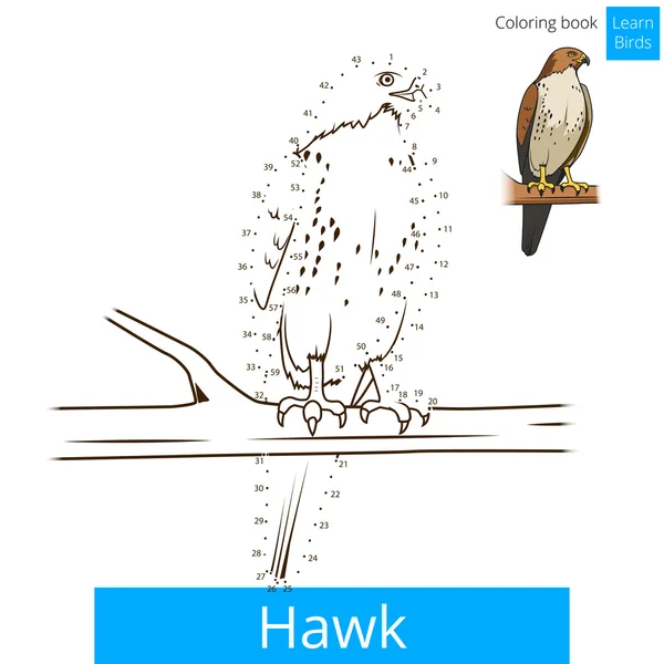 Hawk pájaro aprender aves para colorear libro vector — Vector de stock