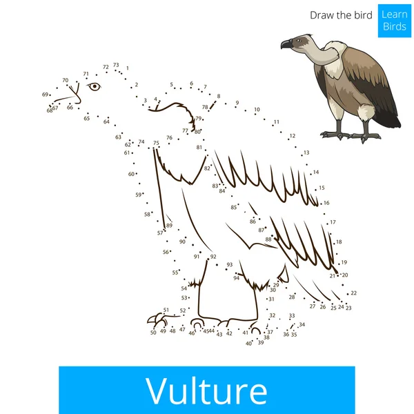Abutre pássaro aprender a desenhar vetor — Vetor de Stock