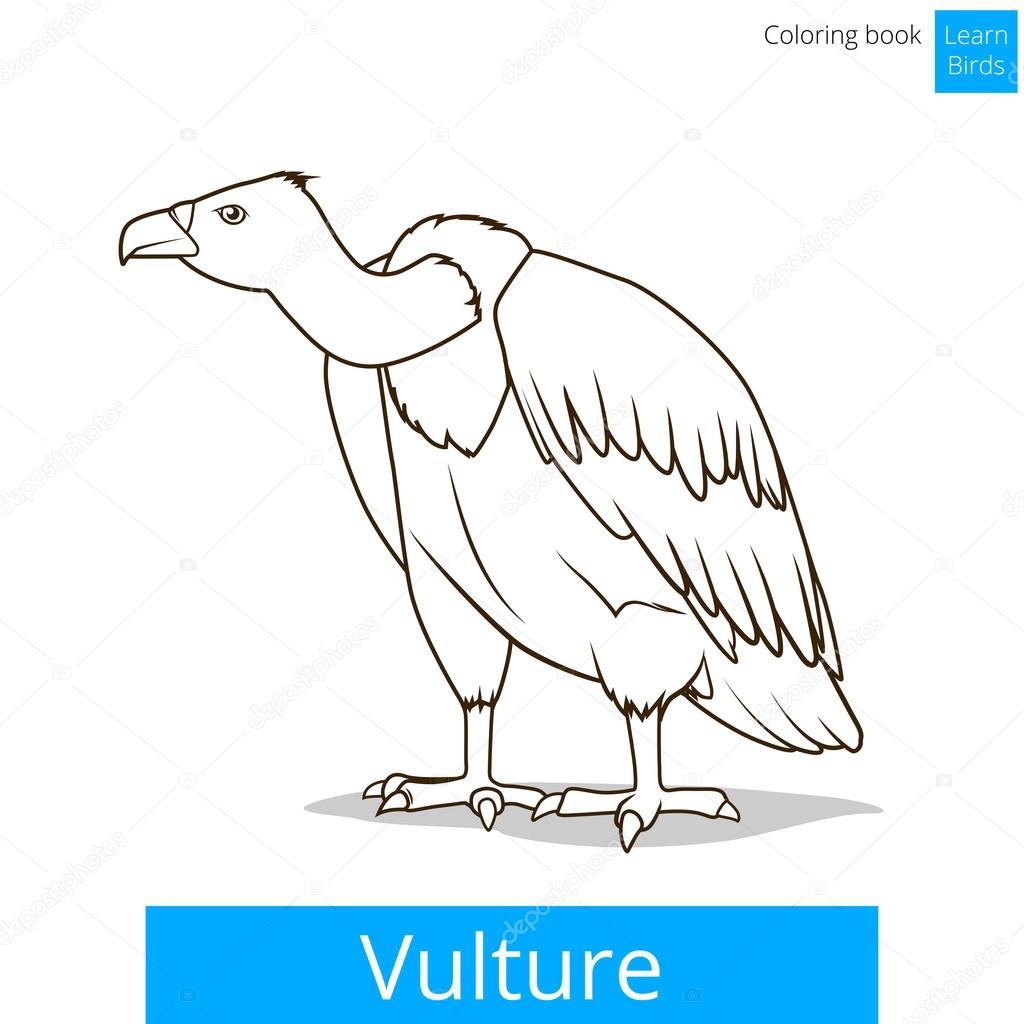 Uccello di avvoltoio imparare uccelli da colorare libro vettoriale — Vettoriale Stock