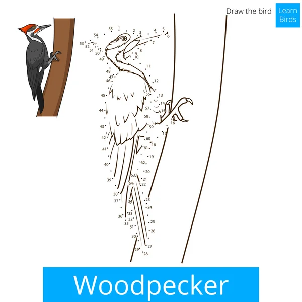 Pica-pau pássaro aprender a desenhar vetor — Vetor de Stock
