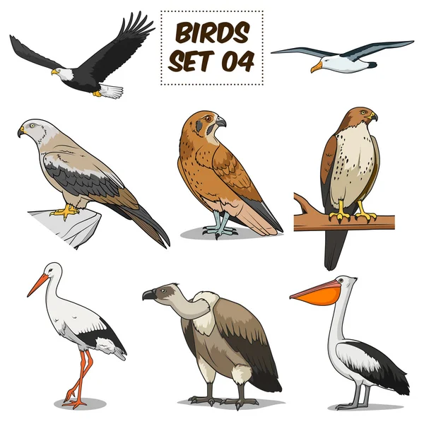 Набір птахів мультфільм барвисті Векторні ілюстрації — стоковий вектор