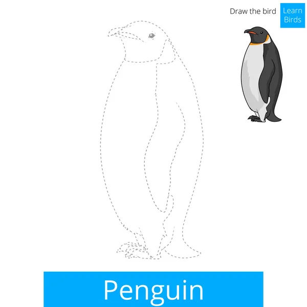 Пингвиньи птицы учатся рисовать вектор — стоковый вектор