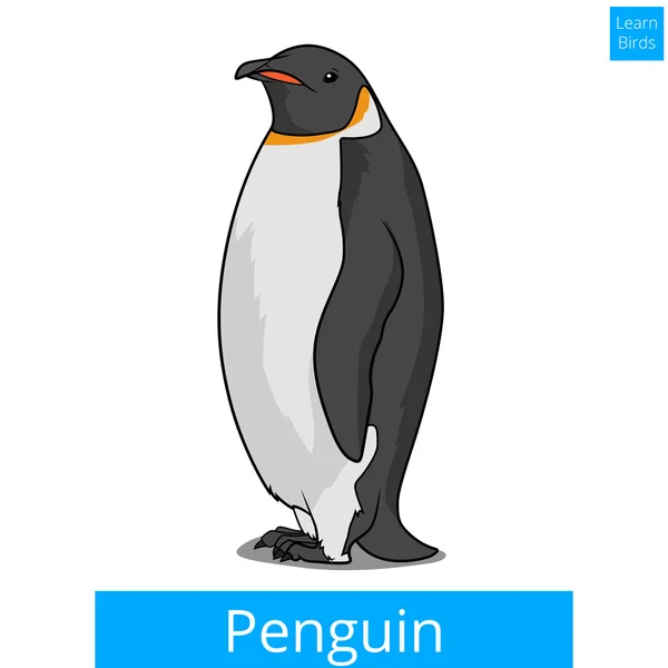 Пінгвін дізнатися птахів освітні Ігри вектор — стоковий вектор