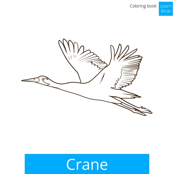 Crane vogel Vogels boek vector kleuren leren — Stockvector