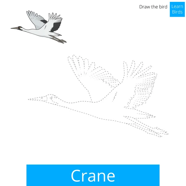 Grue oiseau apprendre à dessiner le vecteur — Image vectorielle