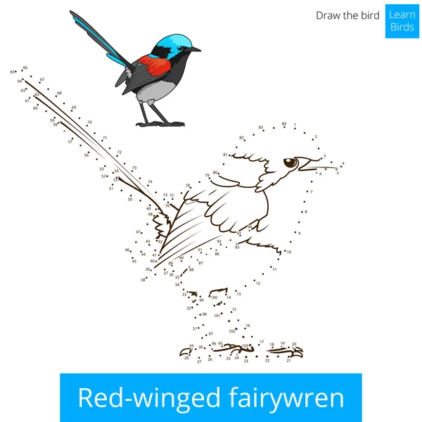 Kırmızı kanatlı fairywren kuş öğrenmek vektör çizmek için — Stok Vektör