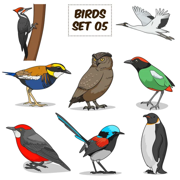 Vogel Set Cartoon bunte Vektor Illustration — Stockvektor