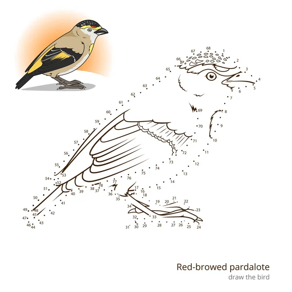 Kırmızı kaşlı pardalote kuş öğrenmek vektör çizmek için — Stok Vektör