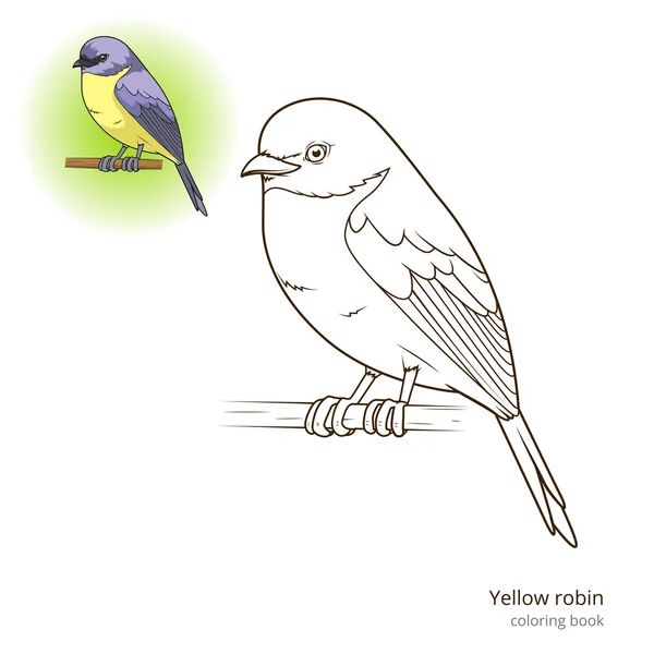 Amarelo robin pássaro colorir vetor livro —  Vetores de Stock