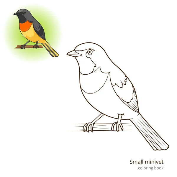 Маленький мізерний птах розмальовка вектор — стоковий вектор