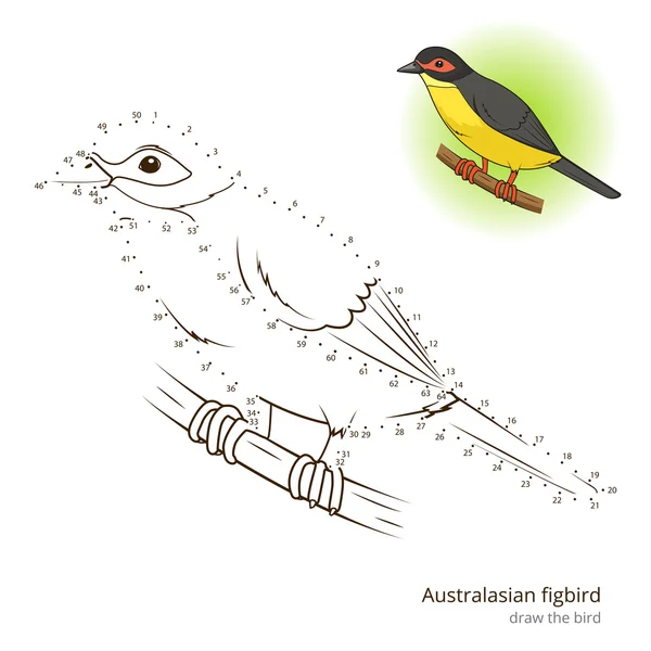 Австралийская птица-фигурка учит рисовать вектор — стоковый вектор