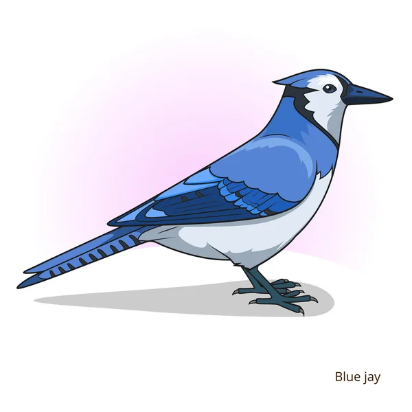 Blue geai oiseau vecteur de jeu éducatif — Image vectorielle