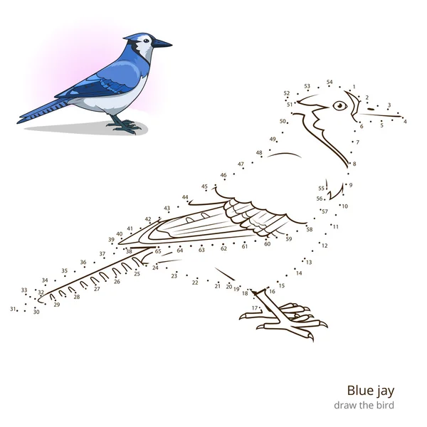 Blue jay uccello imparare a disegnare vettore — Vettoriale Stock