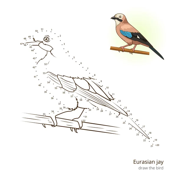 Євразійська Джей птах навчитися малювати вектор — стоковий вектор