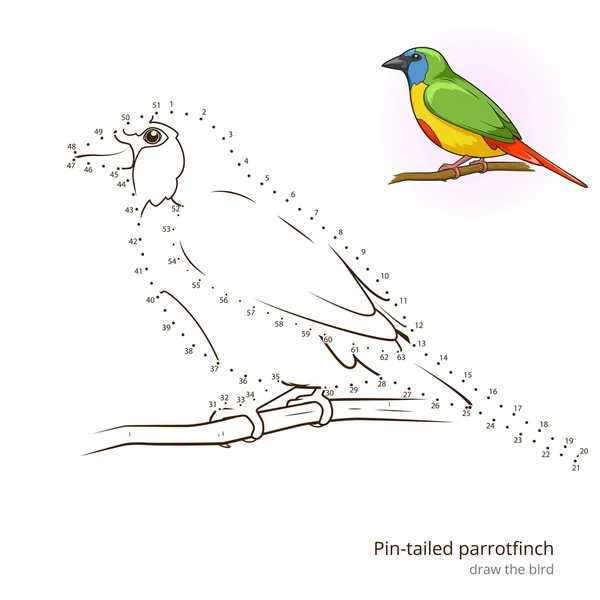 Pin cauda pássaro papagaio aprender a desenhar vetor —  Vetores de Stock