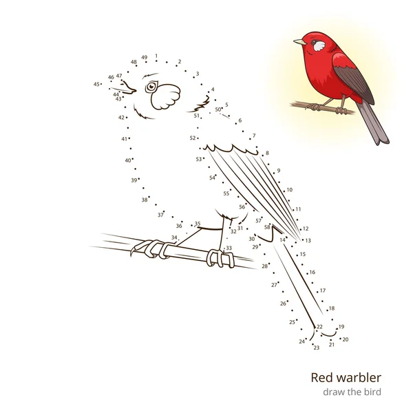 Pássaro warbler vermelho aprender a desenhar vetor — Vetor de Stock