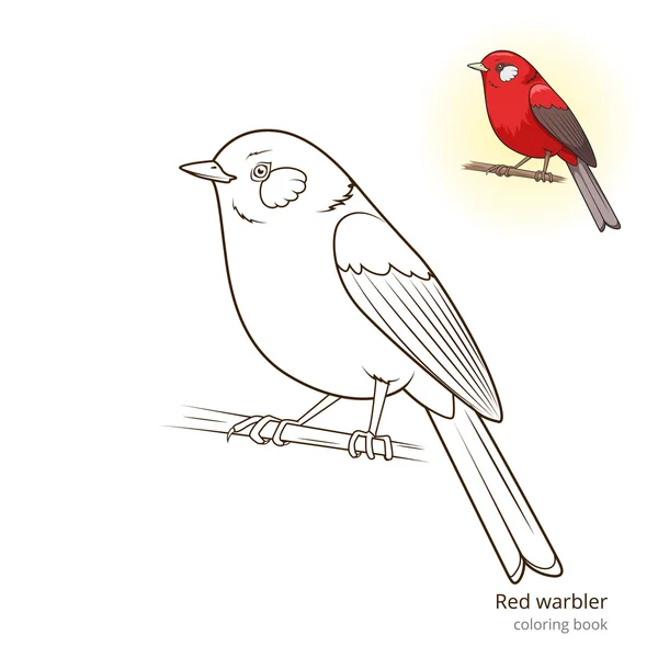 Paruline rouge oiseau coloriage livre vecteur — Image vectorielle