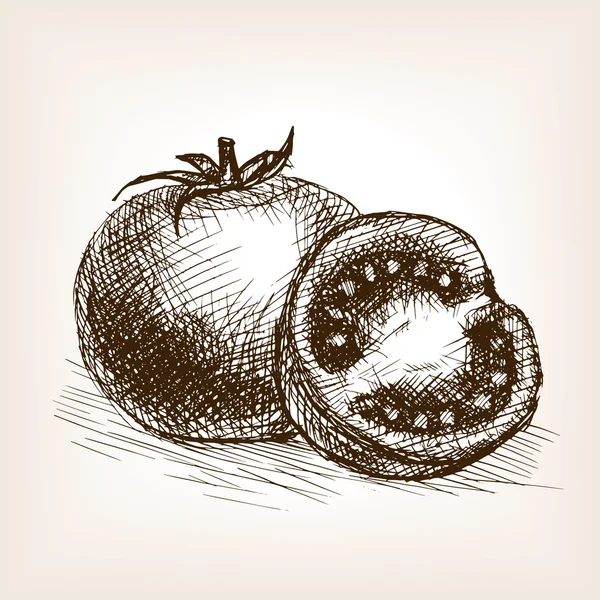 Tomato sketch style vector illustration — ストックベクタ