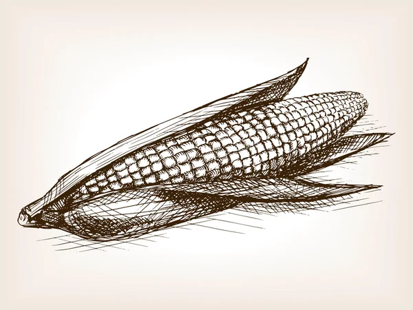 Ear of corn sketch style vector illustration — Διανυσματικό Αρχείο