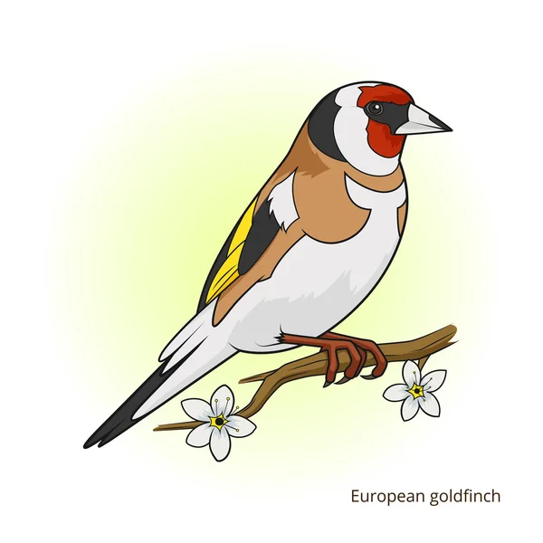 Pájaro de jilguero europeo juego educativo vector — Vector de stock