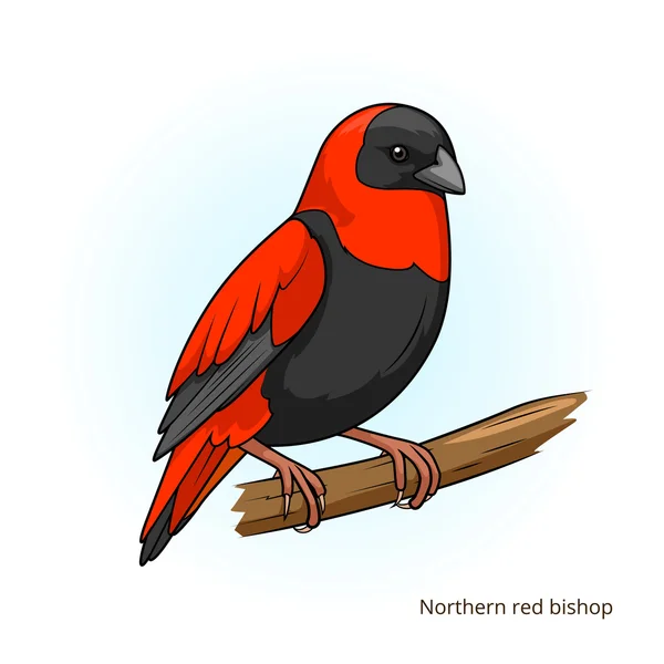 Північний червоний єпископ птах освітній ігровий вектор — стоковий вектор
