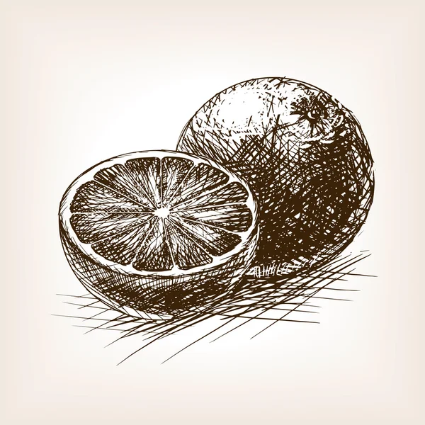 Pomarańczowe owoce cytrusowe szkic ilustracji wektorowych — Wektor stockowy