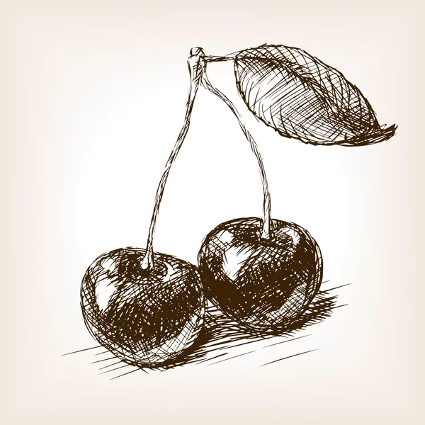 Kirschfrucht Skizze Vektor Illustration — Stockvektor