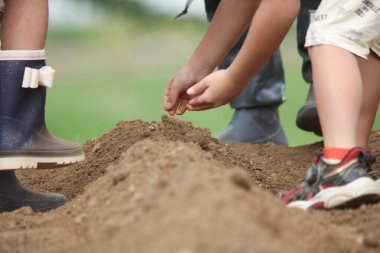 Çocuklar sebze tohumları ekiyor.